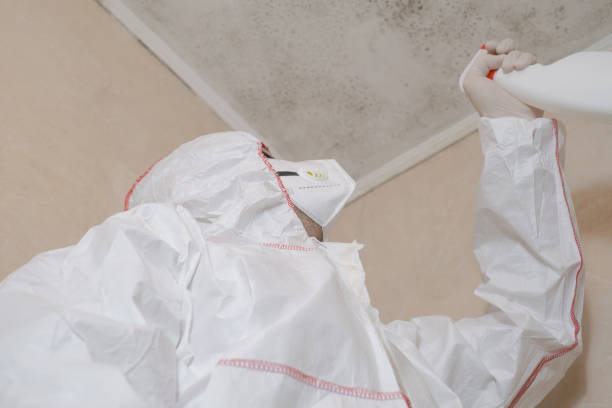 Best Crawl Space Mold Removal  in Allardt, TN