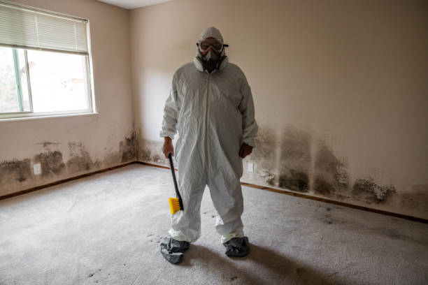 Best Residential Mold Removal  in Allardt, TN